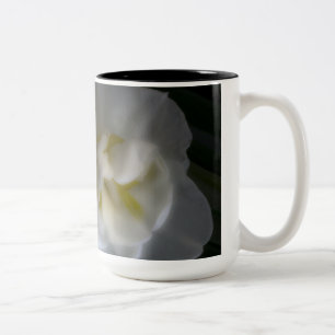 Nah-up Dreamy Narcissus Daffodils Zweifarbige Tasse