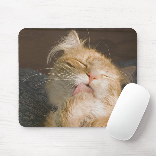 Nah-Up-Foto von Red Maine Coon Cat Mousepad (Mit Mouse)