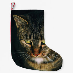 NAH-UP-FOTOGRAFIE DER GRAUTABBY-KATZE KLEINER WEIHNACHTSSTRUMPF