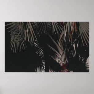 NAH-UP-FOTOGRAFIE DES GRÜNGELEITETEN PALMS POSTER