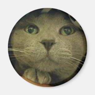 Nah-up Niedlich Kitty Face Magnet