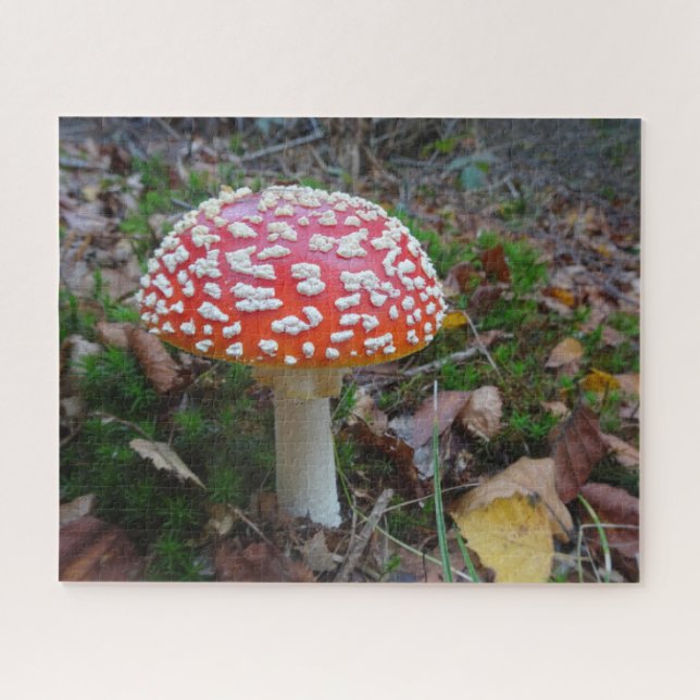 Nah-up Puzzle: Niedliche Fliege Amanita (Horizontal)