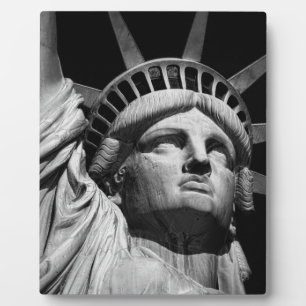 Nah-up-Schwarz-weiße Freiheitsstatue New York Fotoplatte