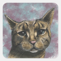 Nah Up Tabby Cat Realistisch Zeichnend