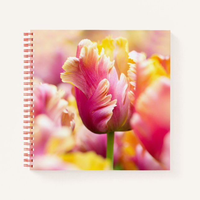 Nah-up-Tulips Notizbuch (Vorderseite)