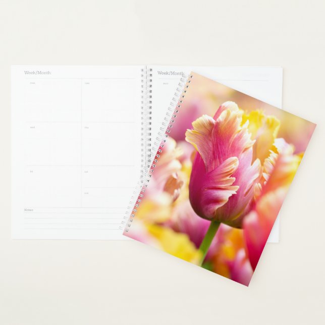 Nah-up-Tulips Planer (Anzeige)