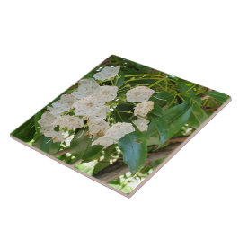 Nah-up White Mountain Laurel Fliese