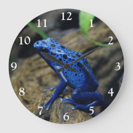 Nah von einer Blue Poision Dart Frog Square Wall Große Wanduhr