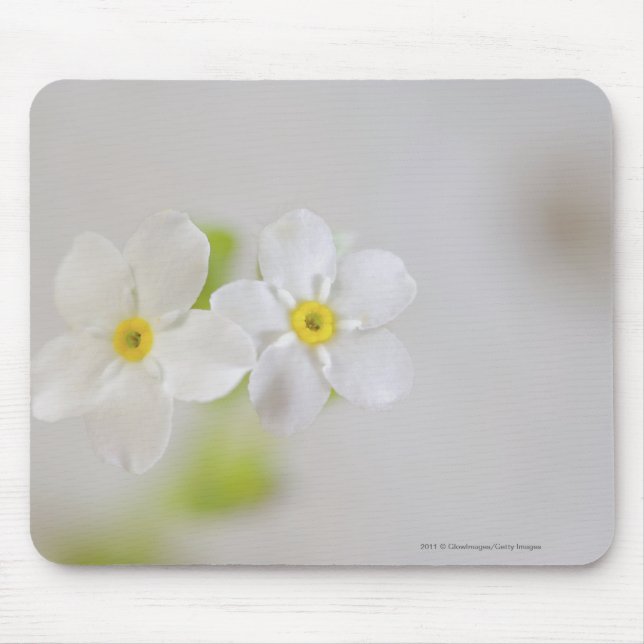Nahaufnahme der Blumen Mousepad (Vorne)