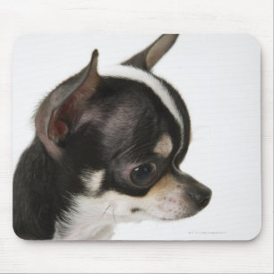 Nahaufnahme der Chihuahua, Seitenansicht Mousepad