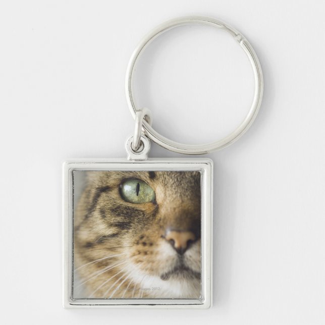 Nahaufnahme der Katze (Fokus auf Auge) Schlüsselanhänger (Vorne)