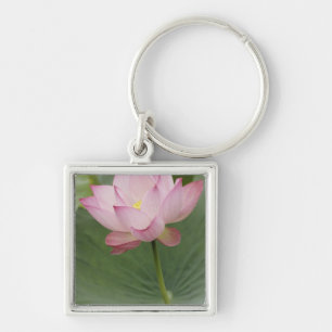 Nahaufnahme der Lotusblume, Nelumbo nucifera), Schlüsselanhänger