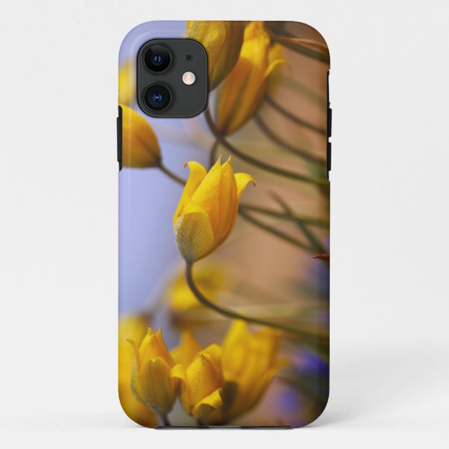 Nahaufnahme der Narzissen Case-Mate iPhone Hülle (Rückseite)