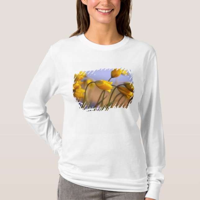 Nahaufnahme der Narzissen T-Shirt (Vorderseite)