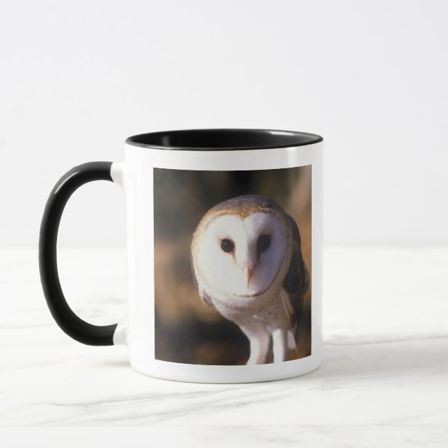 'Nahaufnahme der Schleiereule, Land zwischen Seen, Tasse (Links)