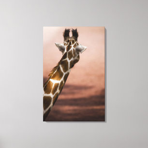Nahaufnahme der somalischen Giraffe (Giraffa Leinwanddruck