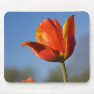 Nahaufnahme der Tulpe-Blumen Mousepad