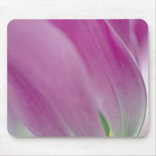 Nahaufnahme der Unterseite einer Tulpenblüte, 2 Mousepad