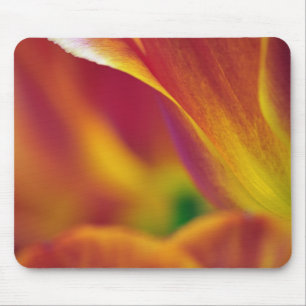Nahaufnahme der Unterseite einer Tulpenblüte, 4 Mousepad