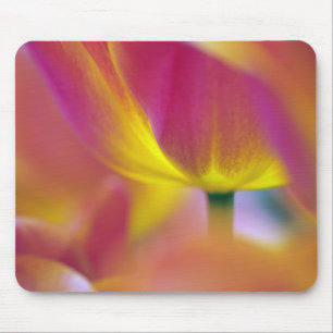 Nahaufnahme der Unterseite einer Tulpenblüte, Kuek Mousepad