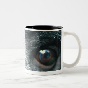 Nahaufnahme des Affen Zweifarbige Tasse