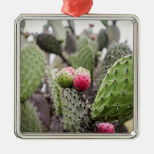 Nahaufnahme des Feigenkaktus Ornament Aus Metall