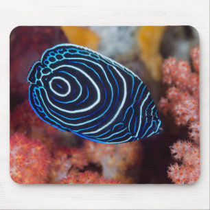 Nahaufnahme des Kaiser-Engelfisches Mousepad