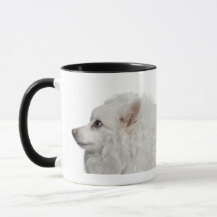 Nahaufnahme des Keeshond (10 Jahre alt) Tasse
