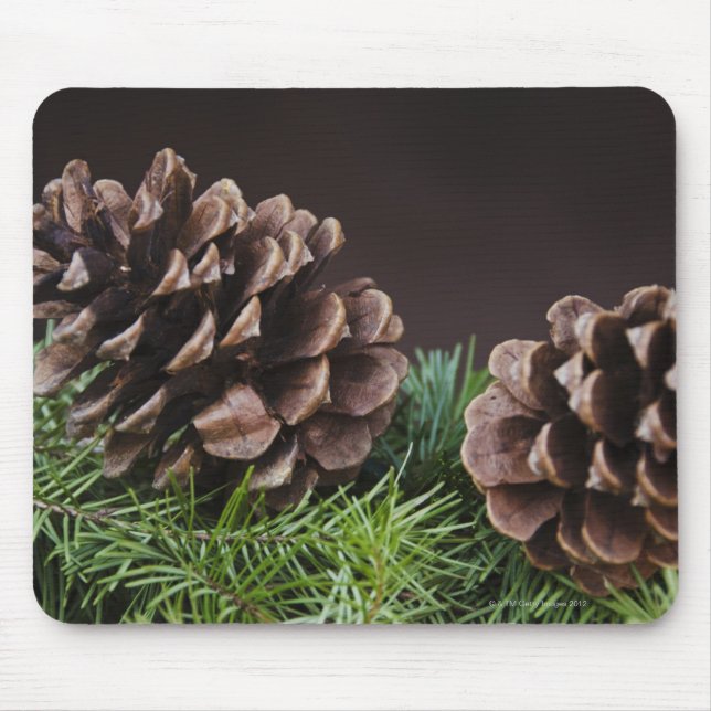 Nahaufnahme des Kiefernkegels Mousepad (Vorne)