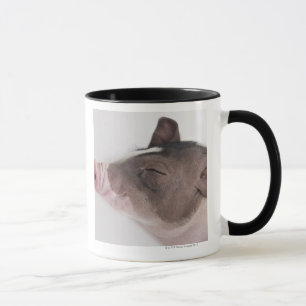 Nahaufnahme des Kopfes eines Ferkels, lächelnd Tasse