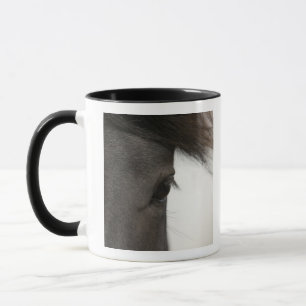 Nahaufnahme des Pferdeauges und -haares Tasse