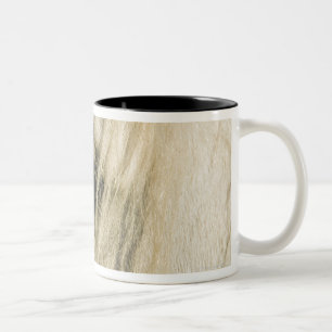 Nahaufnahme des Pferdeauges Zweifarbige Tasse