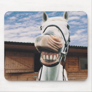 Nahaufnahme des Pferds mit dem Mund offen Mousepad