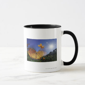 Nahaufnahme des Schmetterlinges, Flügel flatternd Tasse