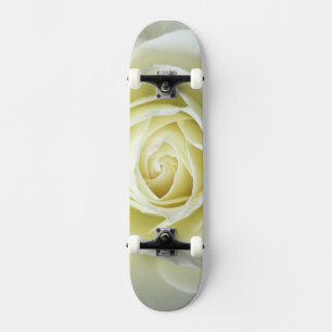 Nahaufnahme Details der weißen Rose Skateboard