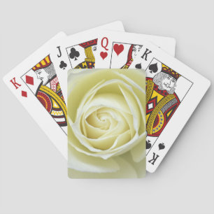 Nahaufnahme Details der weißen Rose Spielkarten
