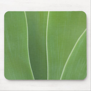 Nahaufnahme einer Agave Mousepad