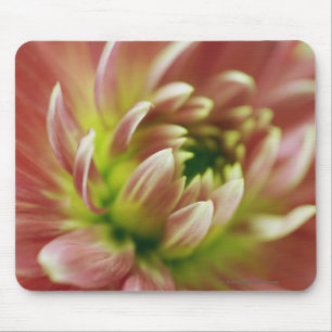 Nahaufnahme einer Blume Mousepad