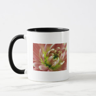 Nahaufnahme einer Blume Tasse