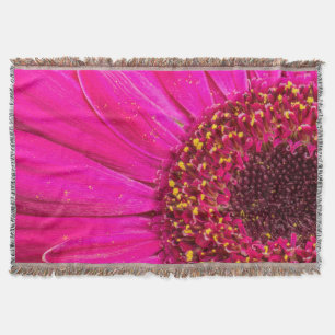 Nahaufnahme einer Gerbera-Margerite Decke