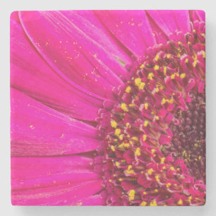 Nahaufnahme einer Gerbera-Margerite Steinuntersetzer