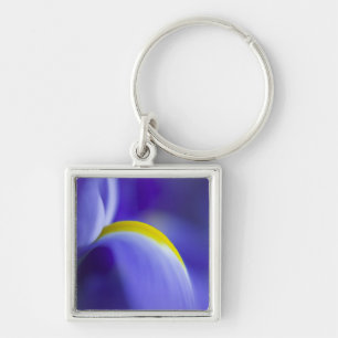 Nahaufnahme einer Iris Blue Flag. Schlüsselanhänger