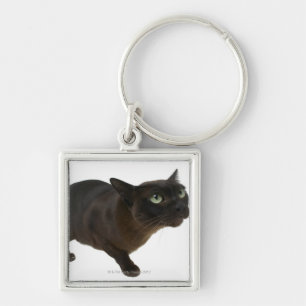 Nahaufnahme einer Katze 2 Schlüsselanhänger