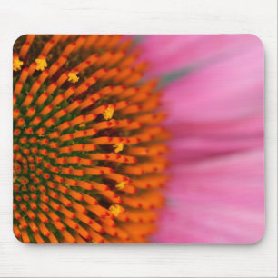 Nahaufnahme einer Kegelblume im Sommer, Mousepad