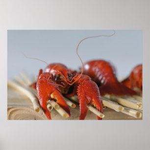 Nahaufnahme einer Krabbe auf Stöcken Poster