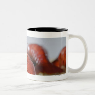 Nahaufnahme einer Krabbe auf Stöcken Zweifarbige Tasse