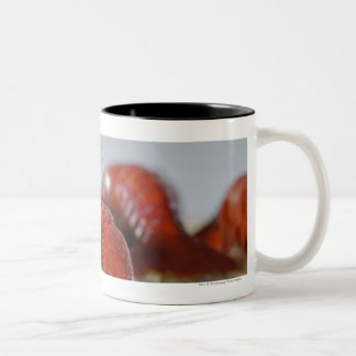 Nahaufnahme einer Krabbe auf Stöcken Zweifarbige Tasse