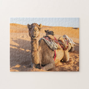 Nahaufnahme einer lustigen Kamel in der omanischen