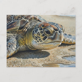 Nahaufnahme einer Meeresschildkröte in Kauai Postkarte