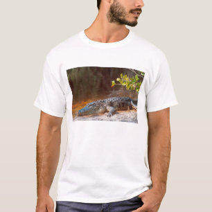 Nahaufnahme einer Mississippi-Alligator im J.N. T-Shirt